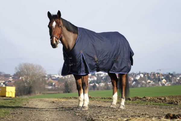 EQUITHÉME CLASSIC DÆKKEN 1200 D - 100 GRAM - 150