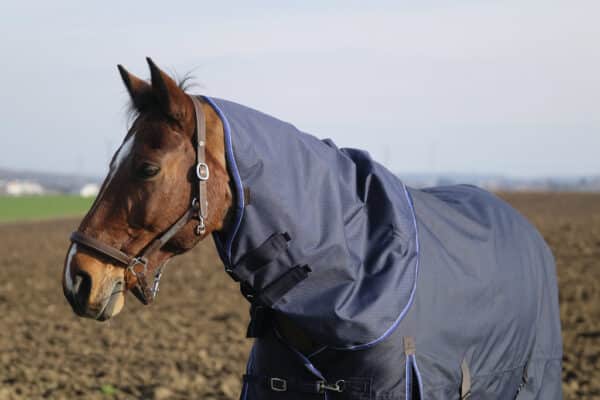 EQUITHÉME CLASSIC HALS 600 D - 150 GRAM - Pony