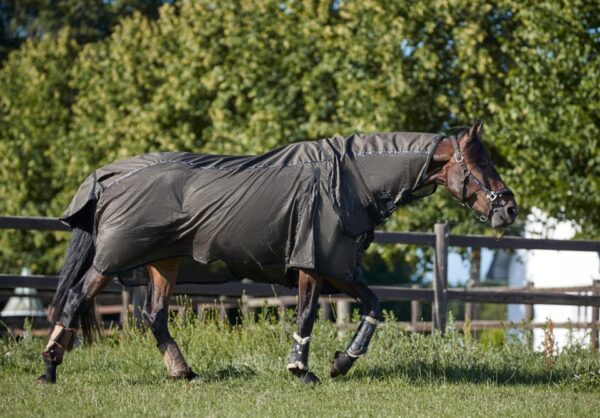 HorseGuard Maison Insekt/Regndækken - 155 CM