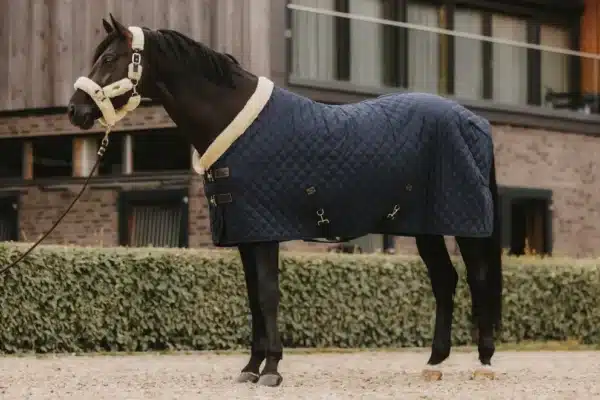Kentucky Show Rug, 160 gram - Navy - 155 CM