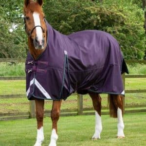 Premier Equine Buster Hardy dækken 100g med høj hals - Lilla