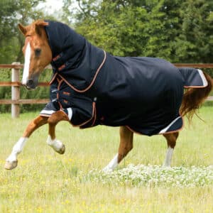 Premier Equine Titan 300g dækken
