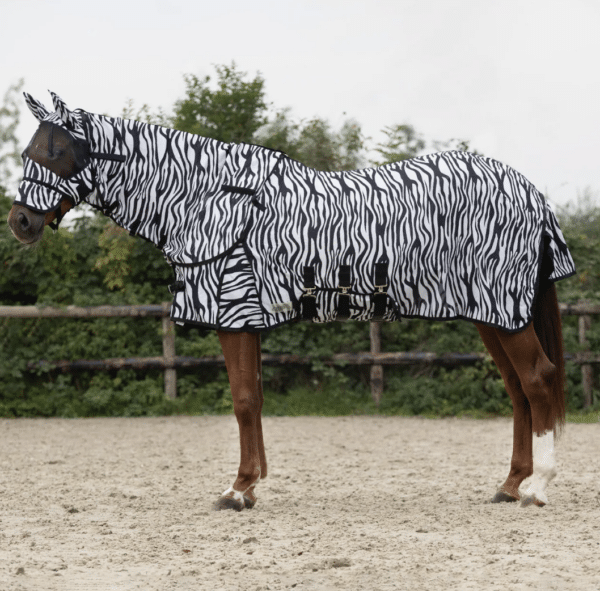 QHP Zebra Insektdækken - 155 CM
