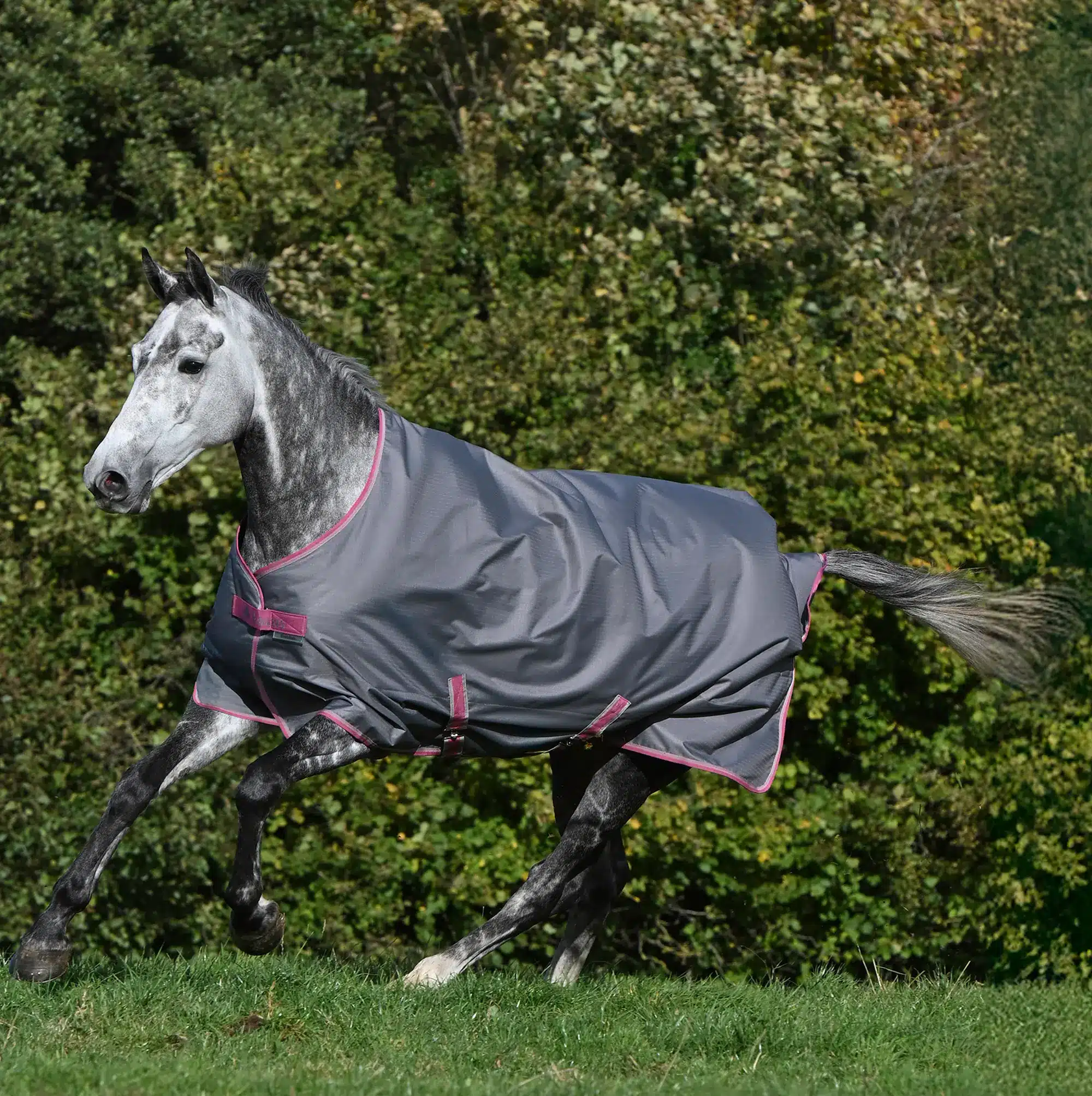 Bucas Freedom, 300 gram - Smoke Grey - 145 CM