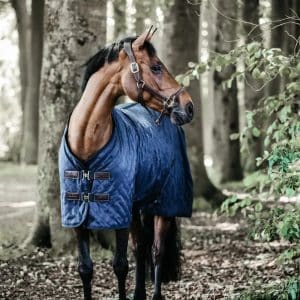 Kentucky Stald dækken, sort 125-5'9 400 gram - Navy / 145cm