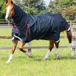 Premier Equine Buster med Classic hals - 150g - 5,3" (120cm)