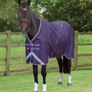 Premier Equine Stratus 600D Series - 0g - Lilla, 6,6" (145cm)