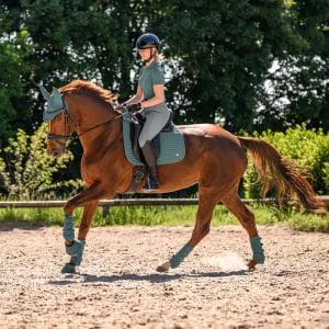 Dressur Underlag Trinidad Sort