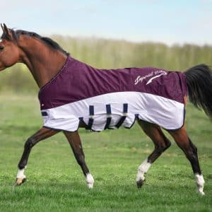 Imperial Regn og fluedækken Blå 135 cm