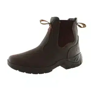 Campus Brighton Jodphur - Brun - 38