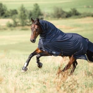 Covalliero Rugbe Super Insektdækken - 155 CM