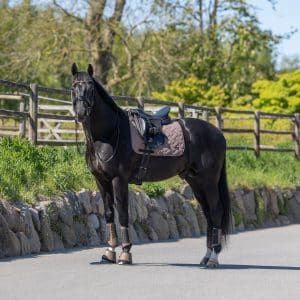 Kingsland, Dressur underlag Lexie- Brown Iron - Cob/medium