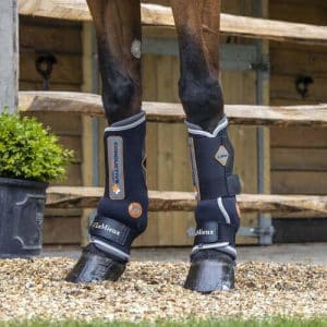 LeMieux Magnotherapy magnet gamacher