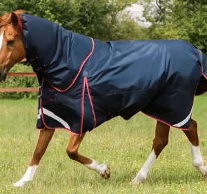 Premier Equine Buster 100g dækken - Snug-fit hals - 5,0" (115cm), Navy