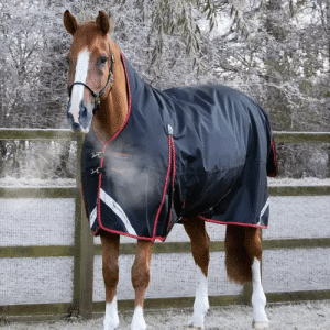 Premier Equine Buster Hardy 400g dækken - Sort
