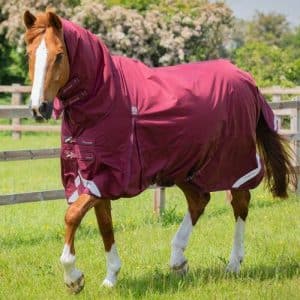 Premier Equine Buster Storm Combo 90g dækken - Burgundy