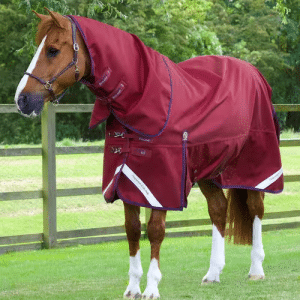 Premier Equine Titan 50g med Classic hals