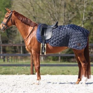 QHP Classy lændedækken - Pony