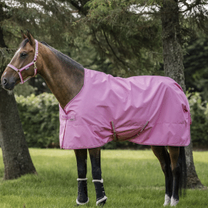 Bucas Freedom Pony Regndækken (Limited Edition) - 120 CM - AURORA PINK