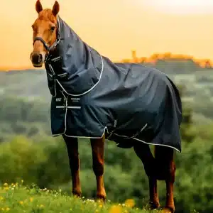 Amigo Ripstop 900 Pony Plus, 100 gram - 115 CM