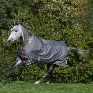 Bucas Freedom, 300 gram - Smoke Grey - 135 CM