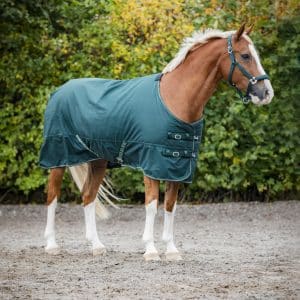 Lando Turnout Dækken 100 G 165 cm