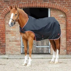 Premier Equine Walker dækken - 100g